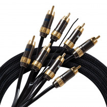 Kicx RCA-06 - 1